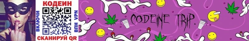 МЕГА зеркало  Моршанск  Codein Purple Drank  купить наркотики цена 